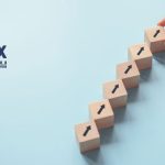 Vertex Global Services