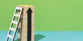 15Five Announced the Acquisition of Kona 15Five Announced the Acquisition of Kona