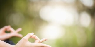 Modern Health Names Alison Borland Chief People and Strategy Officer Modern Health Names Alison Borland Chief People and Strategy Officer