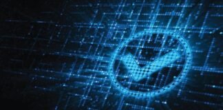 Thomas & Company launches Peek Verify™ Thomas & Company launches Peek Verify™