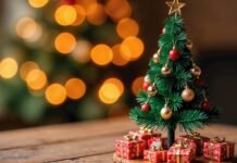 Making Christmas Day Memorable for Everyone — Christmas Day 2025