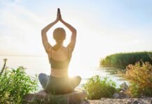 LiberNovo Goes Global: New Markets & A Vision for Healthy Workspaces LiberNovo Goes Global: New Markets & A Vision for Healthy Workspaces