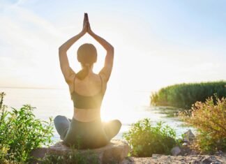 LiberNovo Goes Global: New Markets & A Vision for Healthy Workspaces LiberNovo Goes Global: New Markets & A Vision for Healthy Workspaces