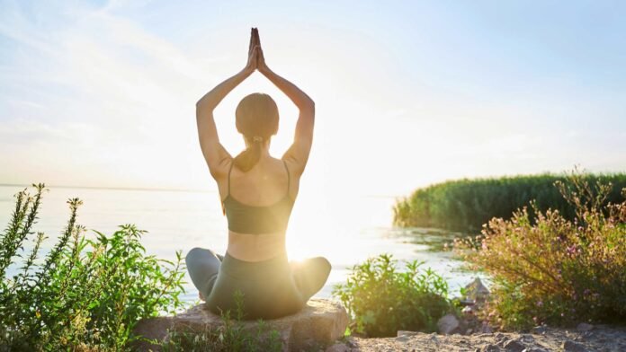 LiberNovo Goes Global: New Markets & A Vision for Healthy Workspaces LiberNovo Goes Global: New Markets & A Vision for Healthy Workspaces