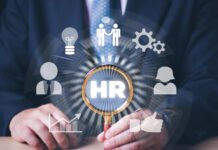 Talentis Surges 67% as Dillistone Plans 2026 Boost