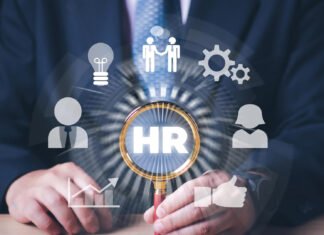 Talentis Surges 67% as Dillistone Plans 2026 Boost