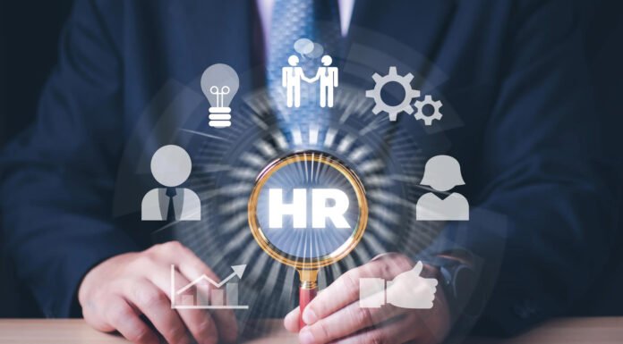 Talentis Surges 67% as Dillistone Plans 2026 Boost